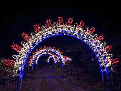 Новогодний декор  арки